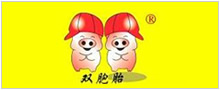 雙胞胎集團(tuán)